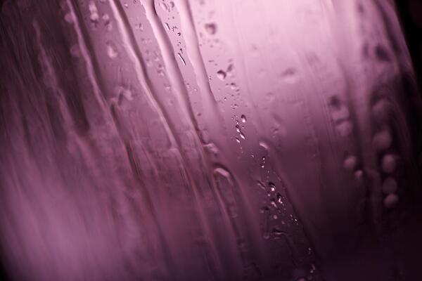 Purple rain by SteveF